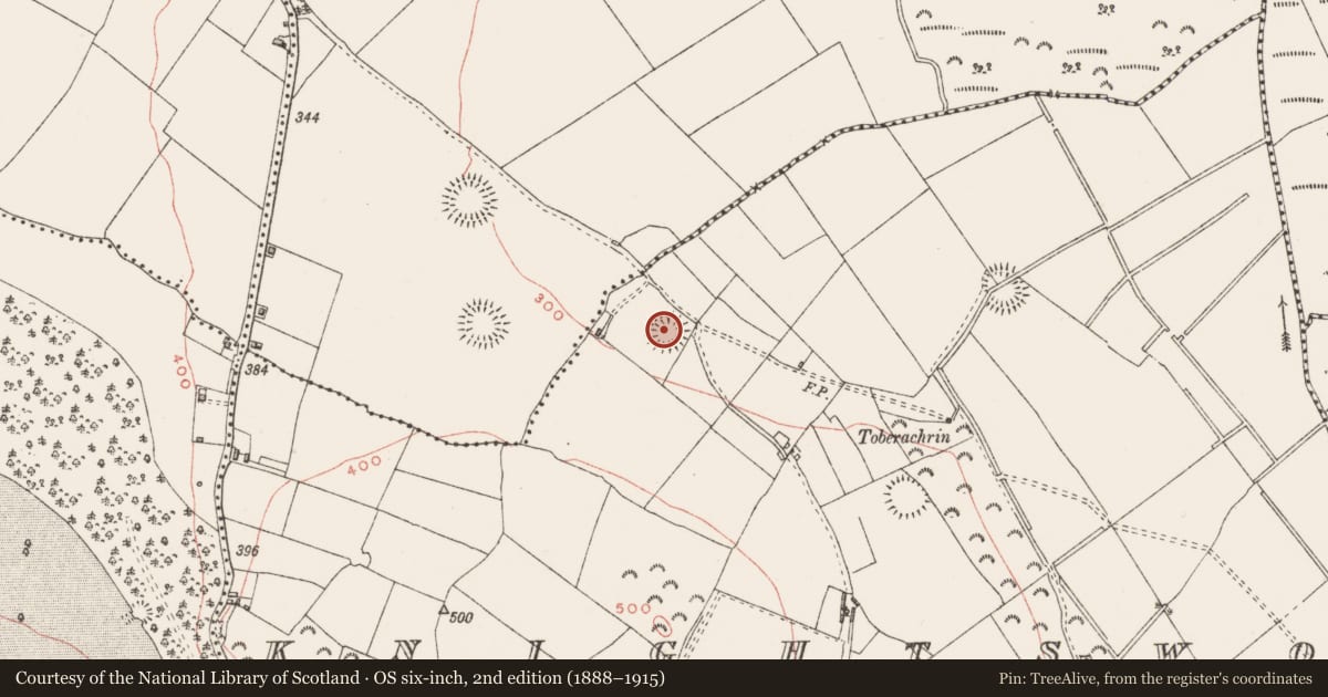 Ordnance Survey six-inch map, 2nd edition (1888–1915) covering the location of Ringfort - rath, Knightswood, County Westmeath, with a pin at the register's coordinates