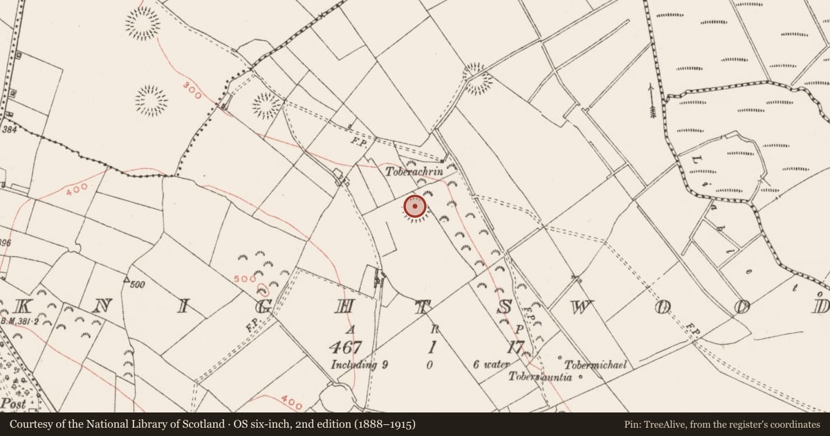 Ordnance Survey six-inch map, 2nd edition (1888–1915) covering the location of Ringfort - rath, Knightswood, County Westmeath, with a pin at the register's coordinates