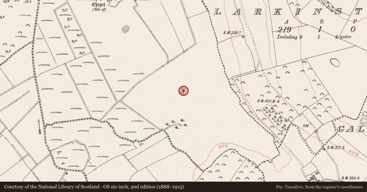 Ordnance Survey six-inch map, 2nd edition (1888–1915) covering the location of Ringfort - rath, Tyfarnham, County Westmeath, with a pin at the register's coordinates