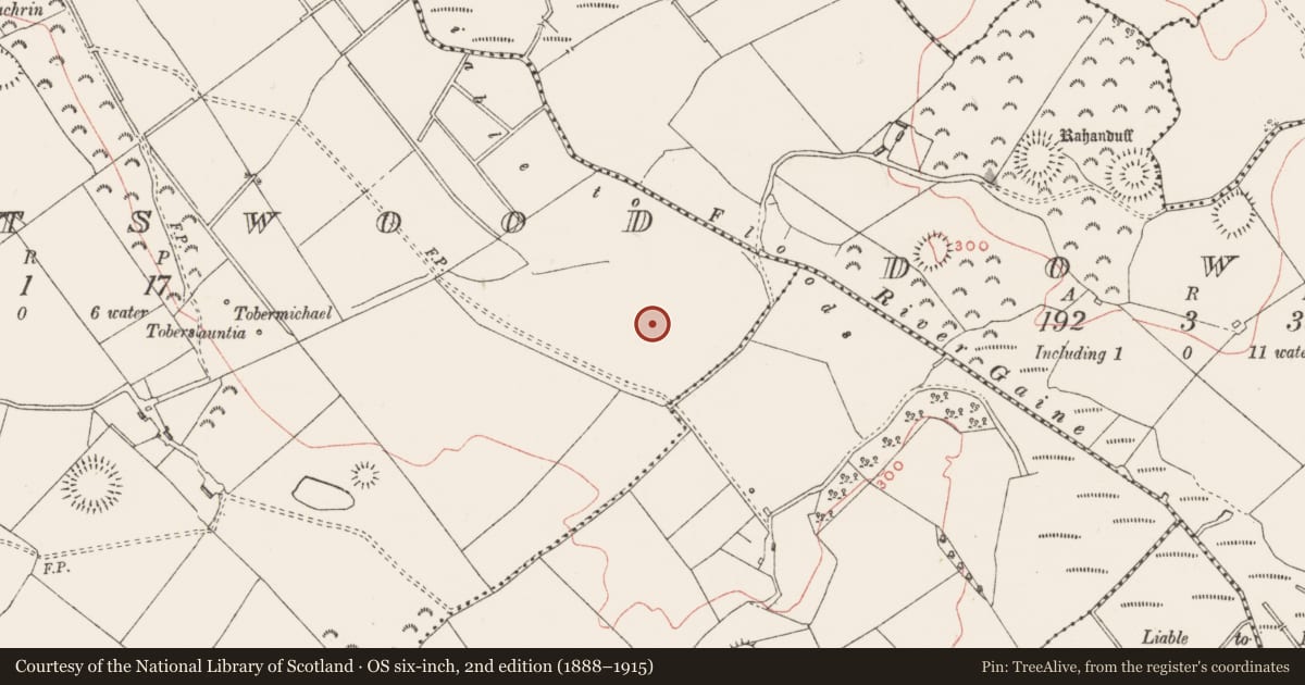 Ordnance Survey six-inch map, 2nd edition (1888–1915) covering the location of Structure, Knightswood, County Westmeath, with a pin at the register's coordinates