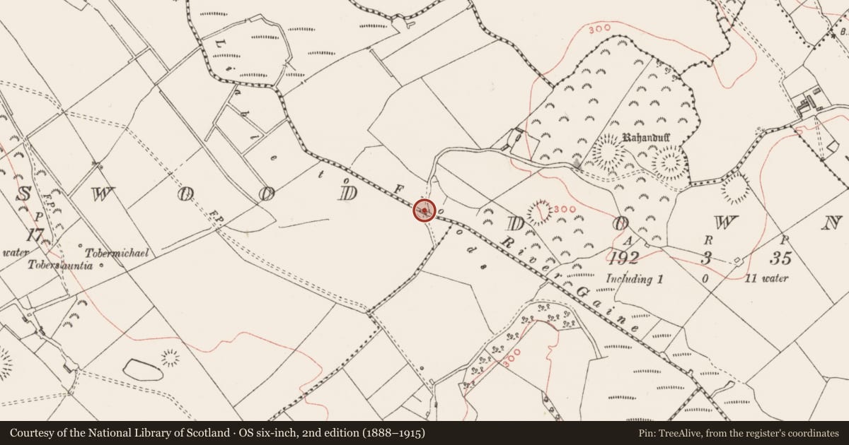 Ordnance Survey six-inch map, 2nd edition (1888–1915) covering the location of Bridge, Knightswood, County Westmeath, with a pin at the register's coordinates