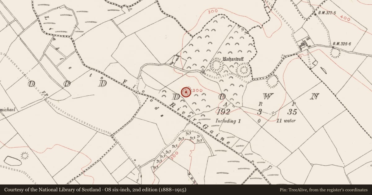 Ordnance Survey six-inch map, 2nd edition (1888–1915) covering the location of Ringfort - rath, Down, County Westmeath, with a pin at the register's coordinates