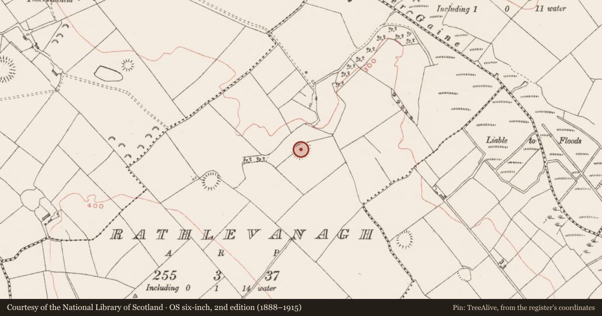 Ordnance Survey six-inch map, 2nd edition (1888–1915) covering the location of Ringfort - rath, Rathlevanagh, County Westmeath, with a pin at the register's coordinates