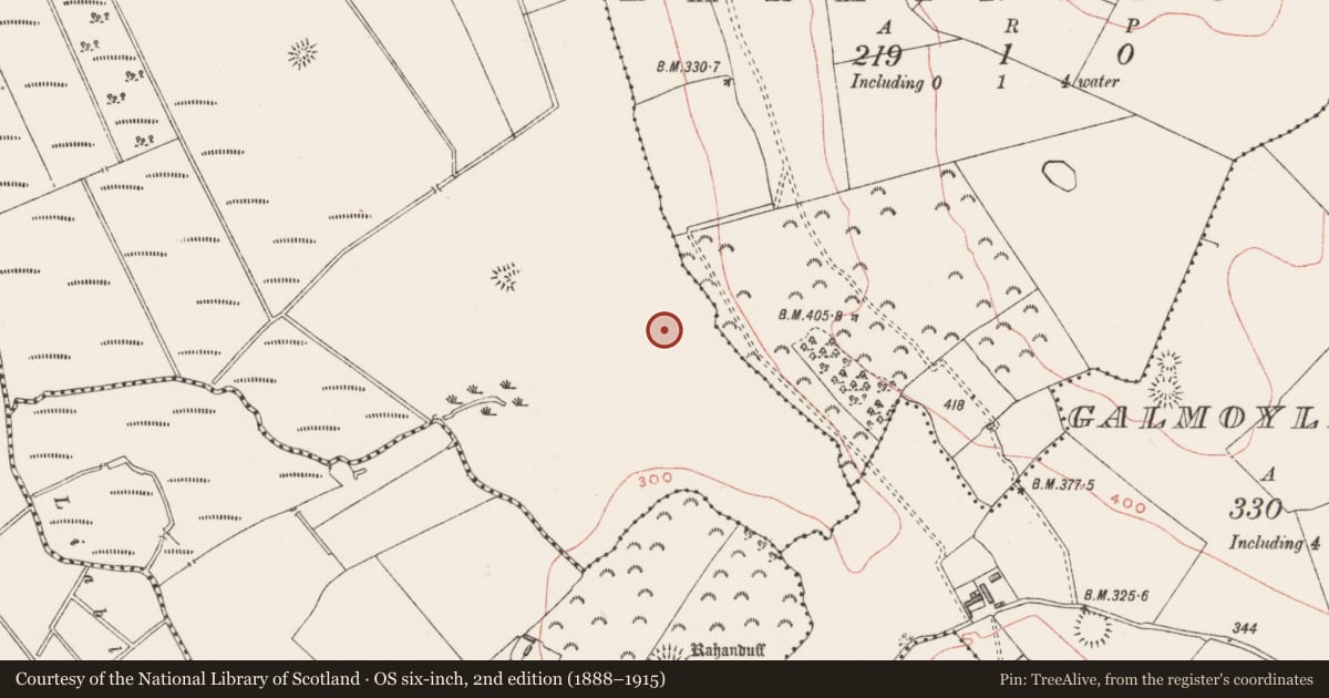 Ordnance Survey six-inch map, 2nd edition (1888–1915) covering the location of Standing stone, Tyfarnham, County Westmeath, with a pin at the register's coordinates