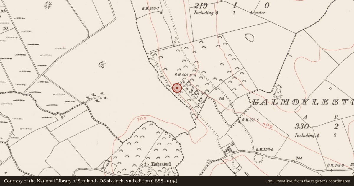 Ordnance Survey six-inch map, 2nd edition (1888–1915) covering the location of Ringfort - rath, Larkinstown, County Westmeath, with a pin at the register's coordinates