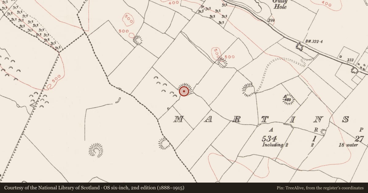 Ordnance Survey six-inch map, 2nd edition (1888–1915) covering the location of Ringfort - rath, Martinstown, County Westmeath, with a pin at the register's coordinates