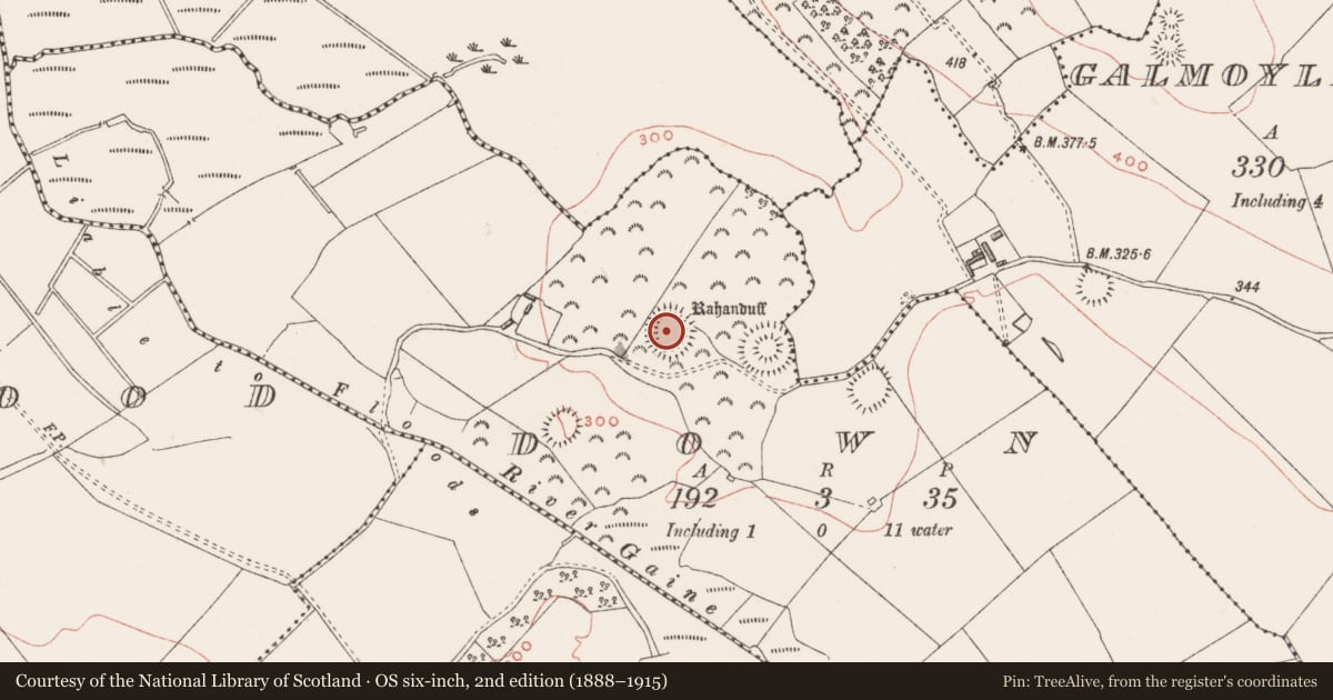 Ordnance Survey six-inch map, 2nd edition (1888–1915) covering the location of Ringfort - rath, Down, County Westmeath, with a pin at the register's coordinates