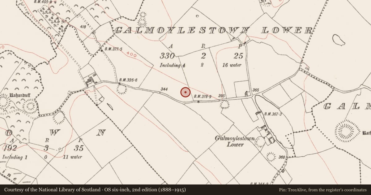 Ordnance Survey six-inch map, 2nd edition (1888–1915) covering the location of Ringfort - rath, Galmoylestown Lower, County Westmeath, with a pin at the register's coordinates