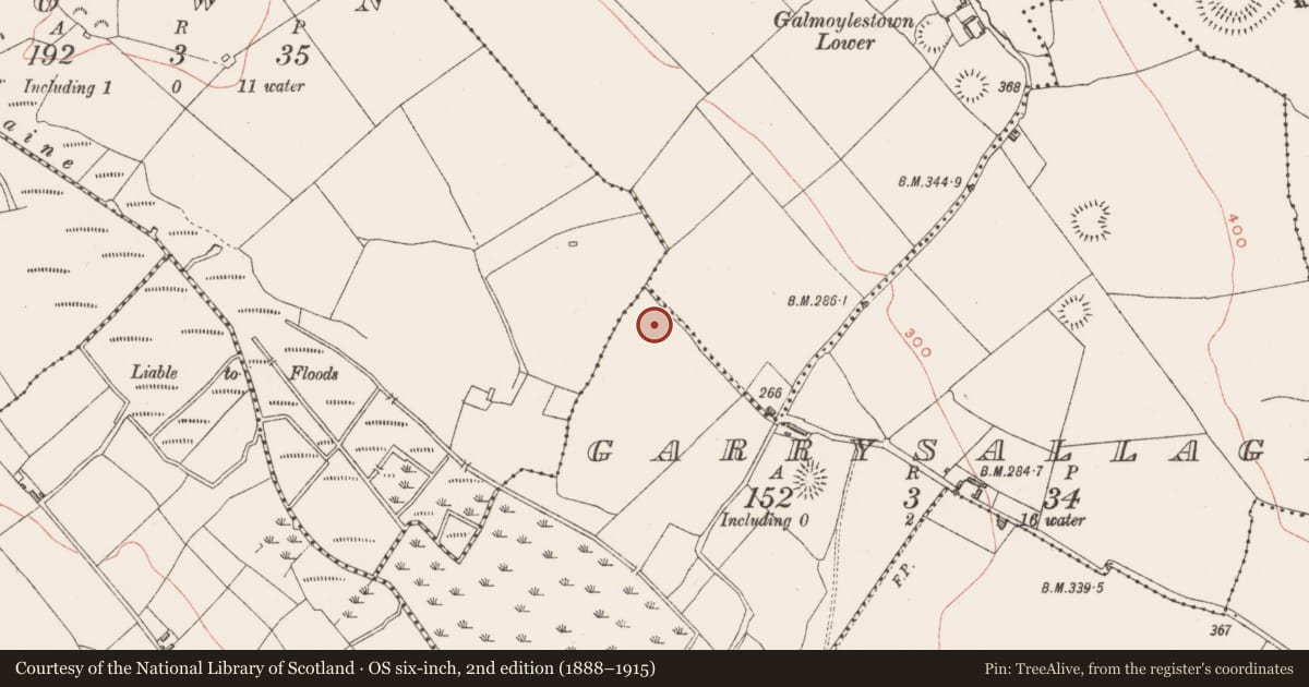 Ordnance Survey six-inch map, 2nd edition (1888–1915) covering the location of Ringfort - unclassified, Garrysallagh, County Westmeath, with a pin at the register's coordinates