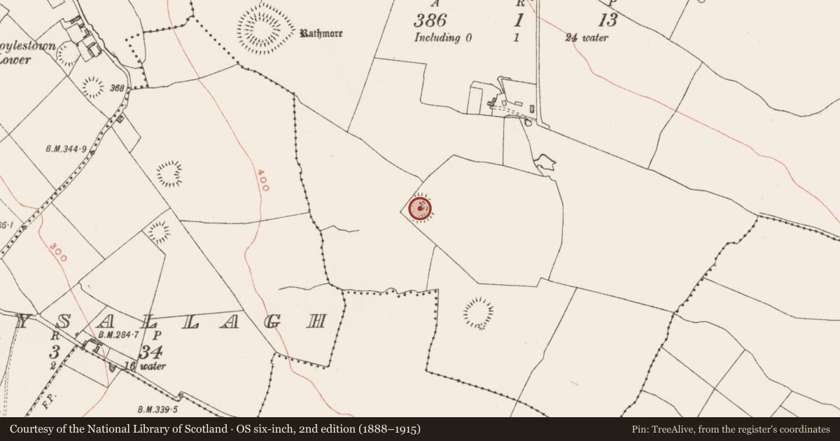 Ordnance Survey six-inch map, 2nd edition (1888–1915) covering the location of Ringfort - unclassified, Galmoylestown Upper, County Westmeath, with a pin at the register's coordinates