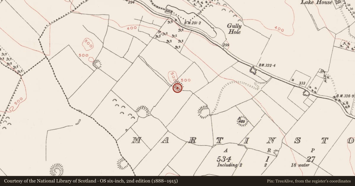 Ordnance Survey six-inch map, 2nd edition (1888–1915) covering the location of Ringfort - rath, Martinstown, County Westmeath, with a pin at the register's coordinates