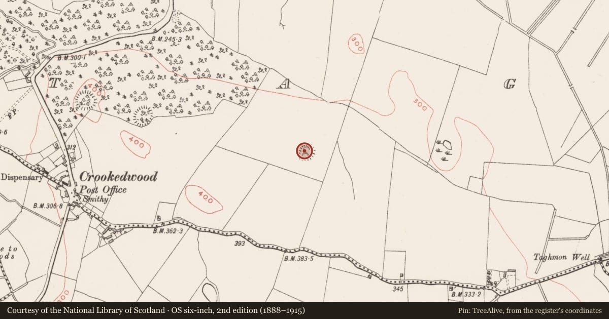 Ordnance Survey six-inch map, 2nd edition (1888–1915) covering the location of Ringfort - rath, Taghmon, County Westmeath, with a pin at the register's coordinates
