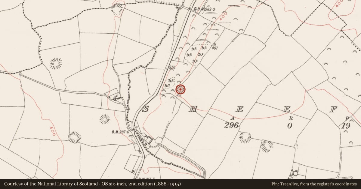 Ordnance Survey six-inch map, 2nd edition (1888–1915) covering the location of Ringfort - rath, Sheefin, County Westmeath, with a pin at the register's coordinates