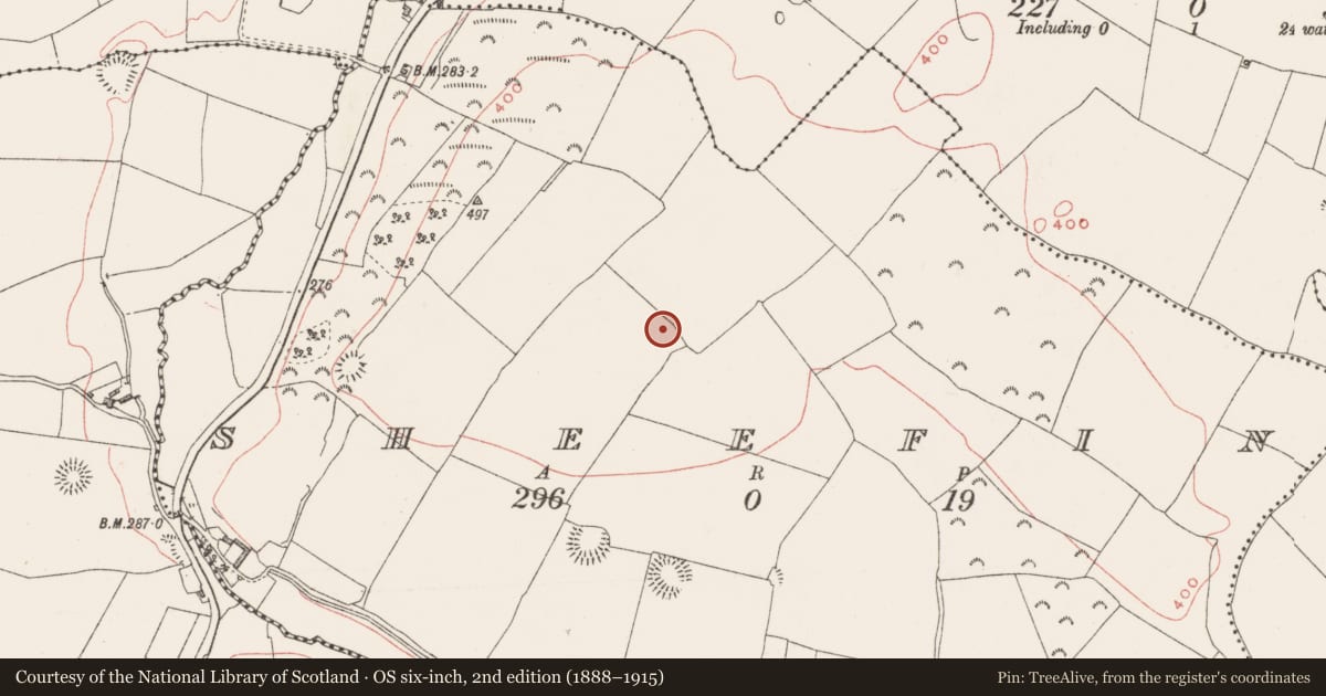 Ordnance Survey six-inch map, 2nd edition (1888–1915) covering the location of Ringfort - rath, Sheefin, County Westmeath, with a pin at the register's coordinates