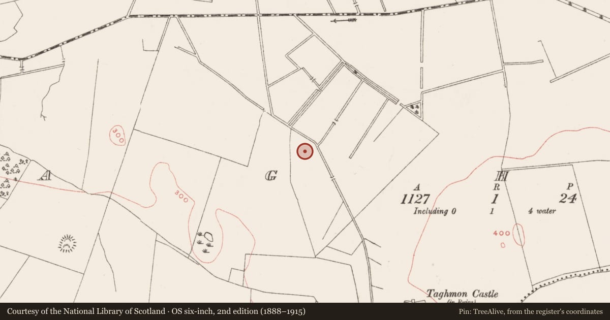 Ordnance Survey six-inch map, 2nd edition (1888–1915) covering the location of Ringfort - rath, Taghmon, County Westmeath, with a pin at the register's coordinates
