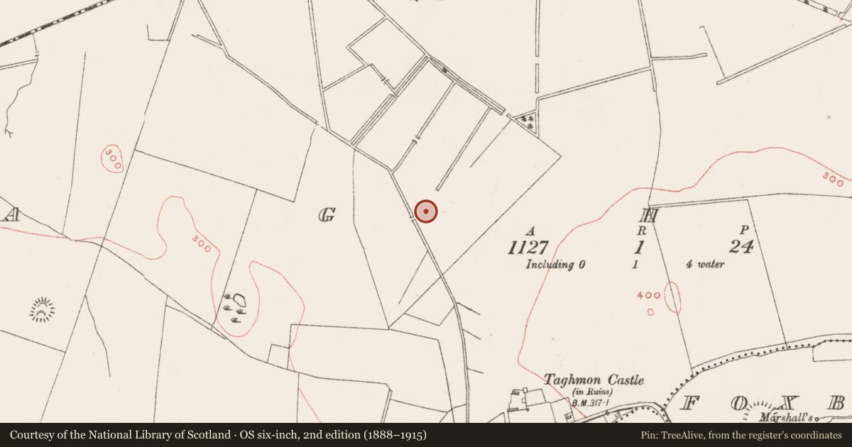 Ordnance Survey six-inch map, 2nd edition (1888–1915) covering the location of Ringfort - rath, Taghmon, County Westmeath, with a pin at the register's coordinates