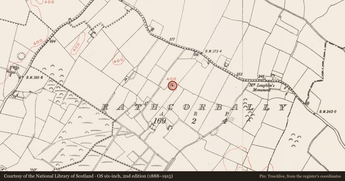 Ordnance Survey six-inch map, 2nd edition (1888–1915) covering the location of Ringfort - rath, Rathcorbally, County Westmeath, with a pin at the register's coordinates