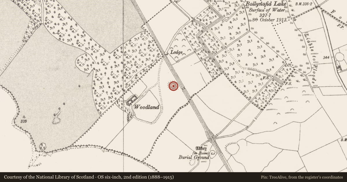 Ordnance Survey six-inch map, 2nd edition (1888–1915) covering the location of Ringfort - rath, Ballynafid, County Westmeath, with a pin at the register's coordinates