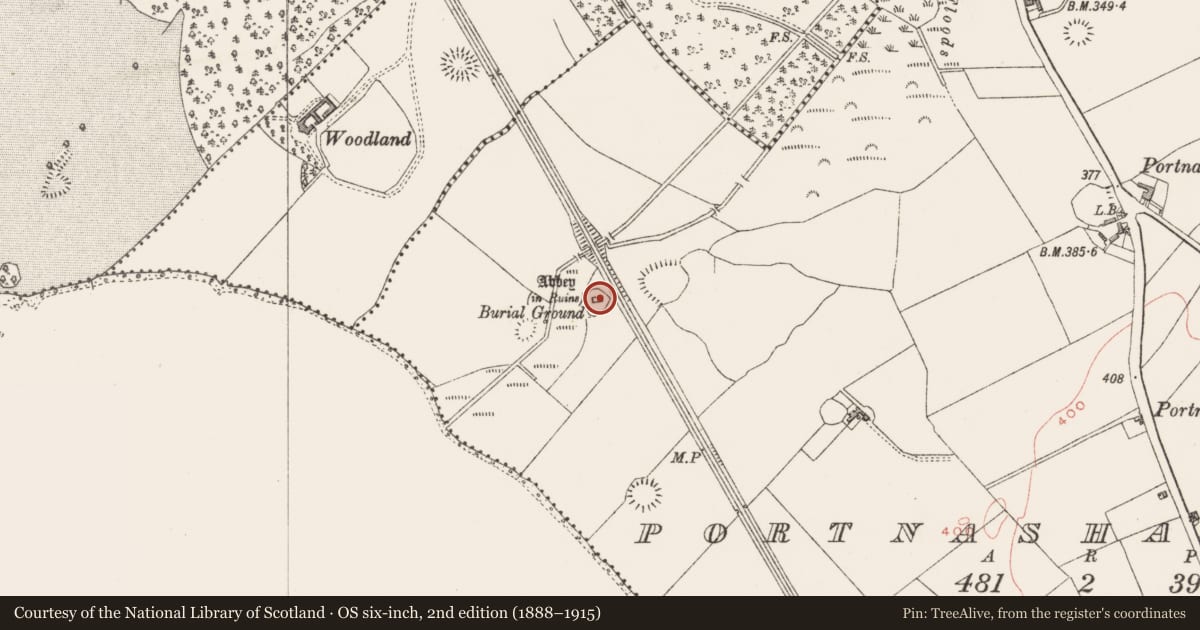 Ordnance Survey six-inch map, 2nd edition (1888–1915) covering the location of Church, Portnashangan, County Westmeath, with a pin at the register's coordinates