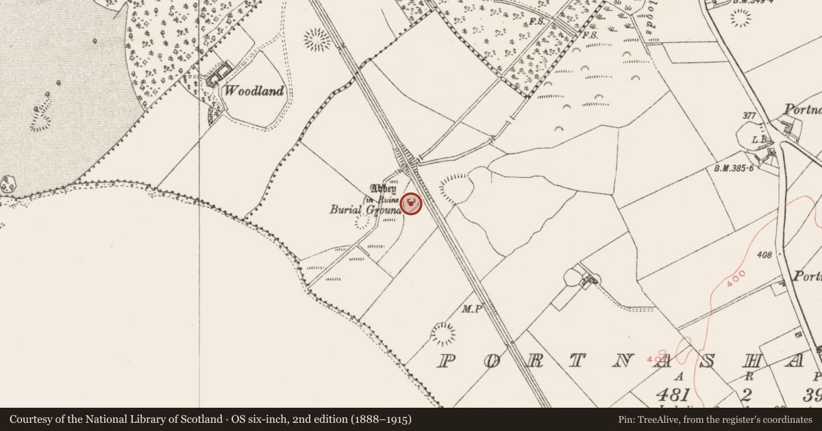 Ordnance Survey six-inch map, 2nd edition (1888–1915) covering the location of Graveyard, Portnashangan, County Westmeath, with a pin at the register's coordinates