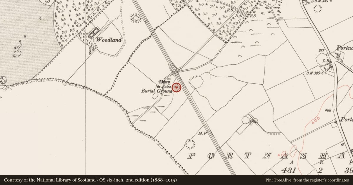 Ordnance Survey six-inch map, 2nd edition (1888–1915) covering the location of Ecclesiastical enclosure, Portnashangan, County Westmeath, with a pin at the register's coordinates