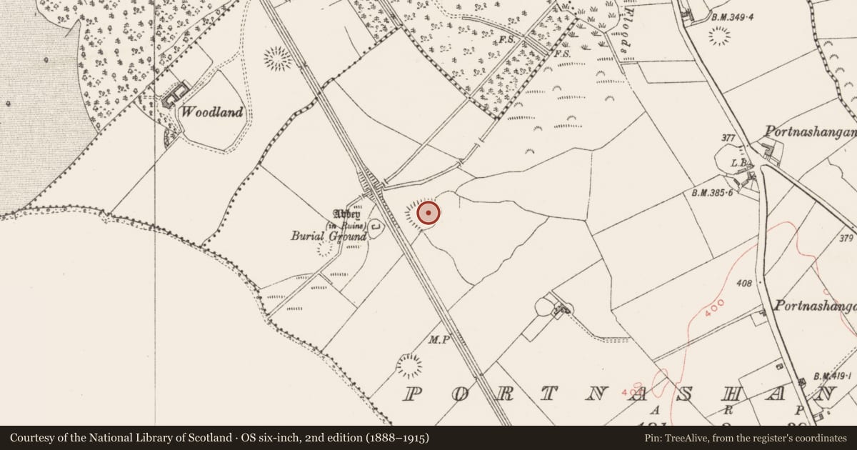 Ordnance Survey six-inch map, 2nd edition (1888–1915) covering the location of Ringfort - unclassified, Portnashangan, County Westmeath, with a pin at the register's coordinates