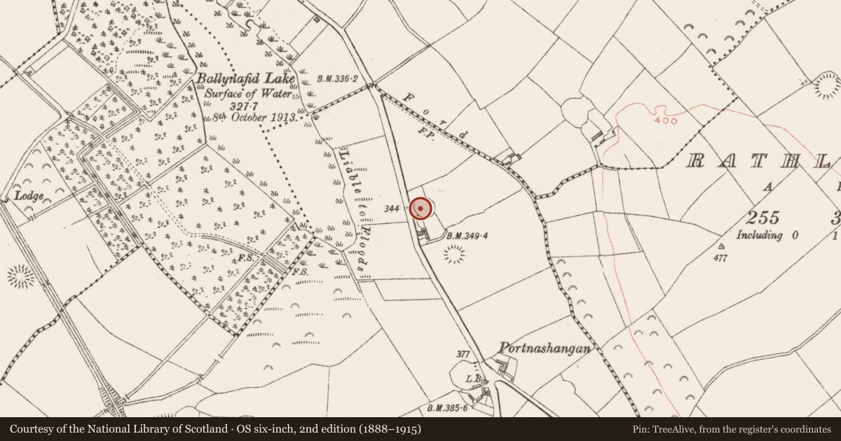 Ordnance Survey six-inch map, 2nd edition (1888–1915) covering the location of Ringfort - rath, Portnashangan, County Westmeath, with a pin at the register's coordinates
