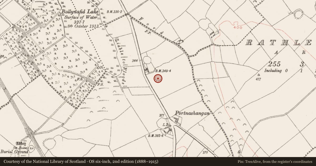 Ordnance Survey six-inch map, 2nd edition (1888–1915) covering the location of Ringfort - rath, Portnashangan, County Westmeath, with a pin at the register's coordinates