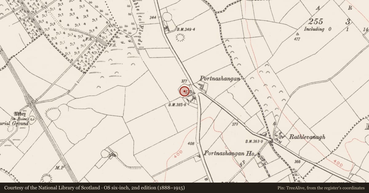Ordnance Survey six-inch map, 2nd edition (1888–1915) covering the location of Ringfort - rath, Portnashangan, County Westmeath, with a pin at the register's coordinates