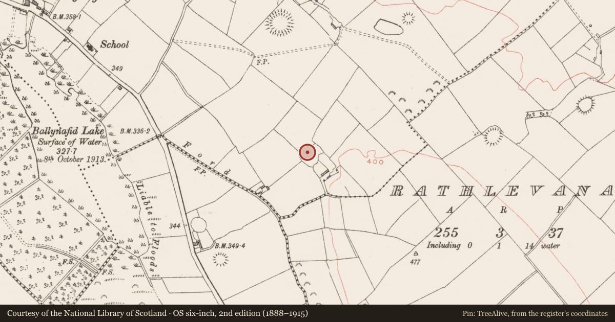 Ordnance Survey six-inch map, 2nd edition (1888–1915) covering the location of Ringfort - rath, Knightswood, County Westmeath, with a pin at the register's coordinates