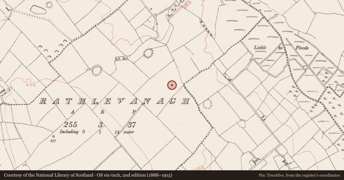 Ordnance Survey six-inch map, 2nd edition (1888–1915) covering the location of Ringfort - rath, Rathlevanagh, County Westmeath, with a pin at the register's coordinates