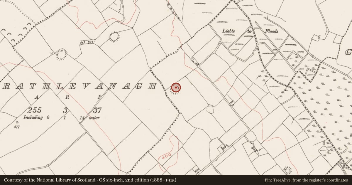Ordnance Survey six-inch map, 2nd edition (1888–1915) covering the location of Ringfort - rath, Loughanstown, County Westmeath, with a pin at the register's coordinates