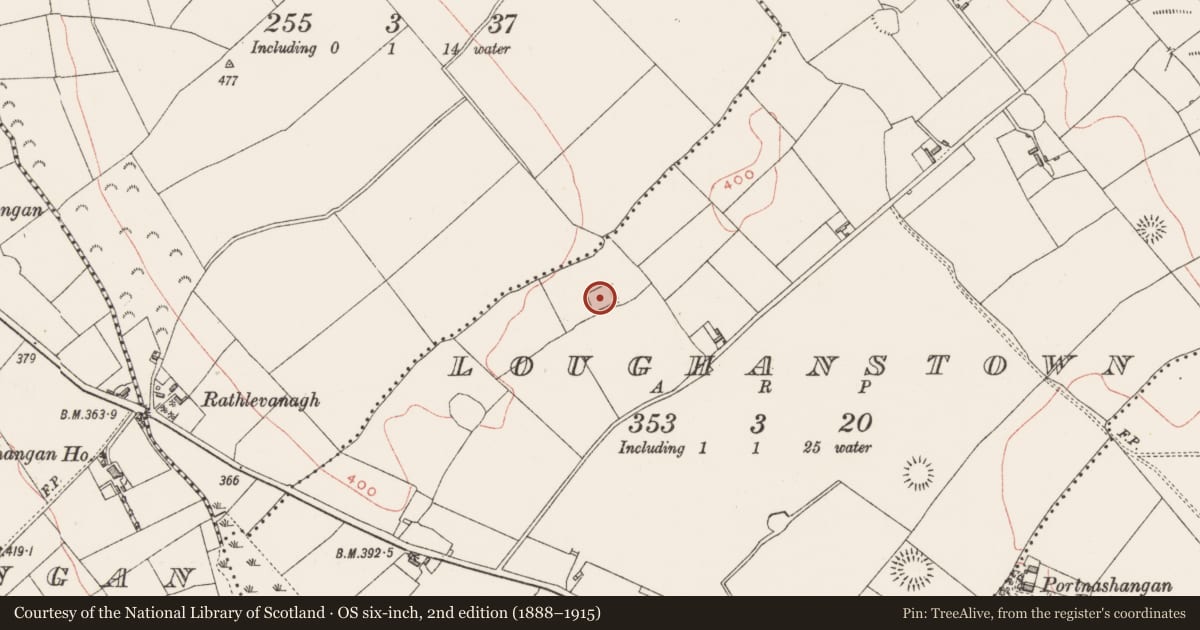 Ordnance Survey six-inch map, 2nd edition (1888–1915) covering the location of Moated site, Loughanstown, County Westmeath, with a pin at the register's coordinates