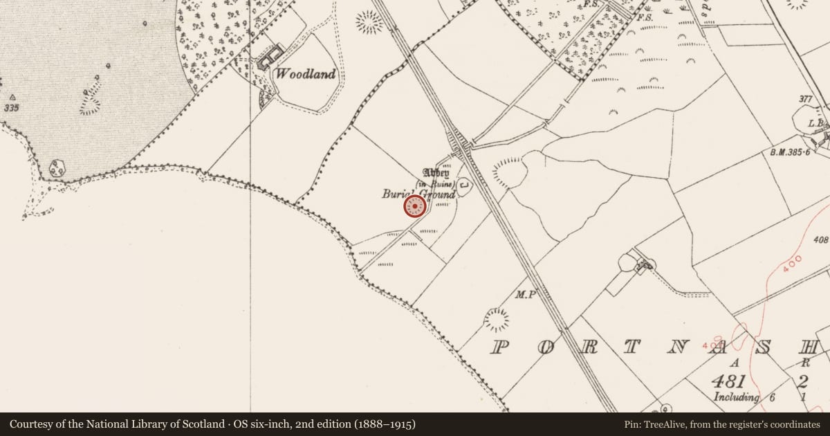Ordnance Survey six-inch map, 2nd edition (1888–1915) covering the location of Castle - motte, Portnashangan, County Westmeath, with a pin at the register's coordinates