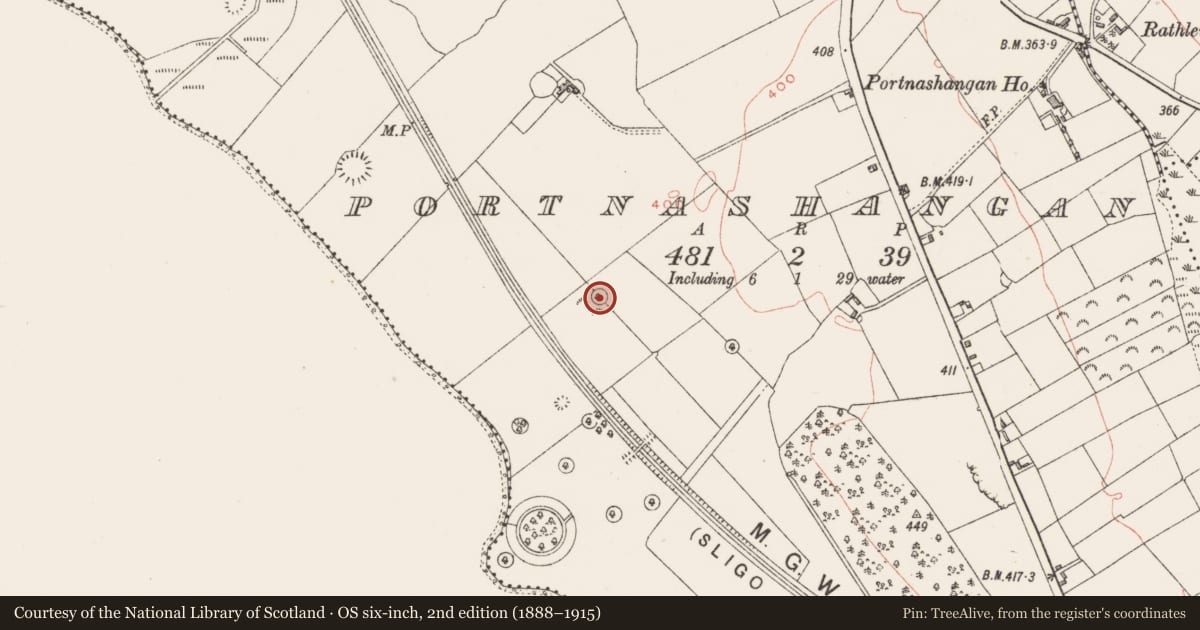 Ordnance Survey six-inch map, 2nd edition (1888–1915) covering the location of Barrow - unclassified, Portnashangan, County Westmeath, with a pin at the register's coordinates