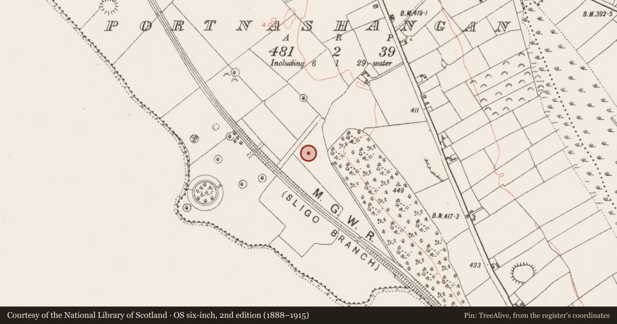 Ordnance Survey six-inch map, 2nd edition (1888–1915) covering the location of Ringfort - unclassified, Portnashangan, County Westmeath, with a pin at the register's coordinates