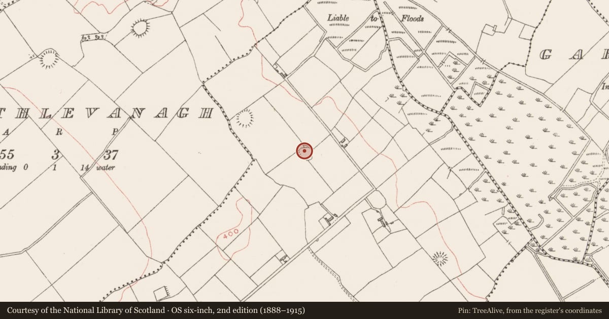 Ordnance Survey six-inch map, 2nd edition (1888–1915) covering the location of Ringfort - rath, Loughanstown, County Westmeath, with a pin at the register's coordinates