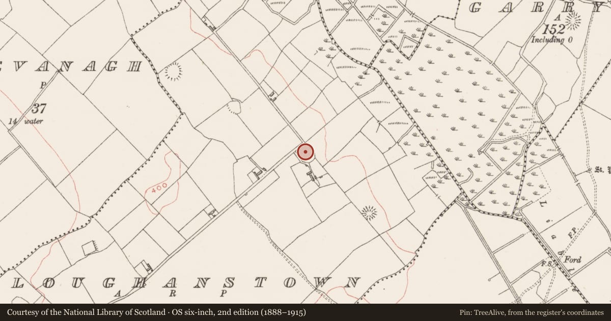Ordnance Survey six-inch map, 2nd edition (1888–1915) covering the location of Ringfort - rath, Loughanstown, County Westmeath, with a pin at the register's coordinates