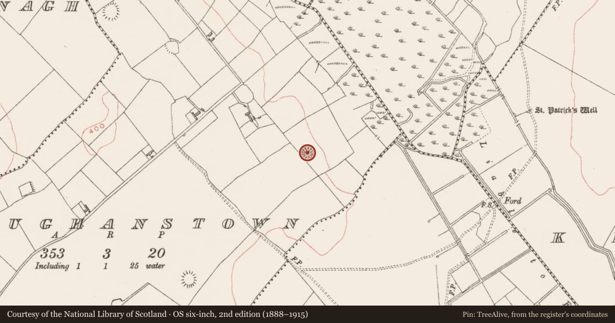 Ordnance Survey six-inch map, 2nd edition (1888–1915) covering the location of Ringfort - rath, Loughanstown, County Westmeath, with a pin at the register's coordinates