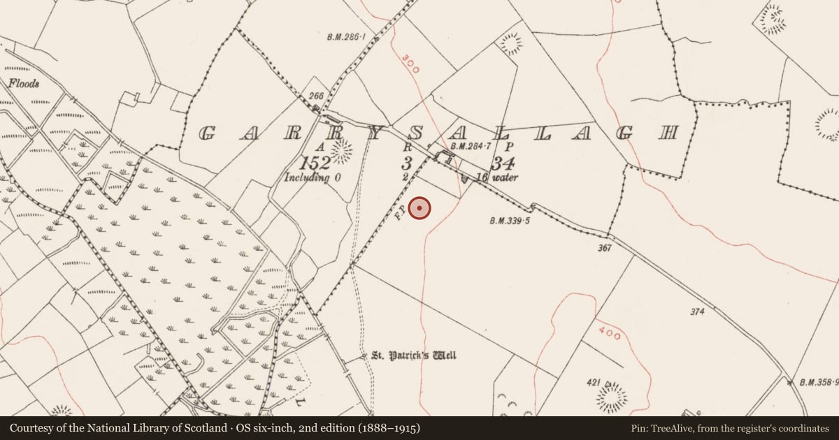 Ordnance Survey six-inch map, 2nd edition (1888–1915) covering the location of Ringfort - unclassified, Kilmaglish, County Westmeath, with a pin at the register's coordinates