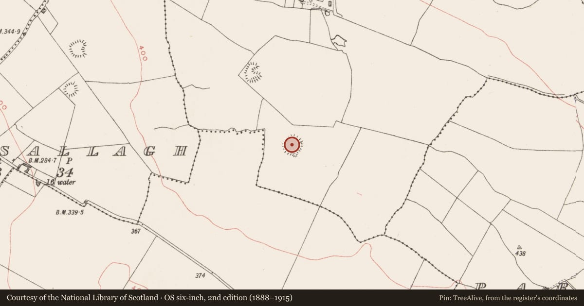 Ordnance Survey six-inch map, 2nd edition (1888–1915) covering the location of Ringfort - rath, Galmoylestown Upper, County Westmeath, with a pin at the register's coordinates