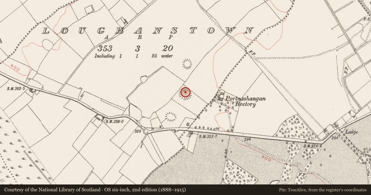 Ordnance Survey six-inch map, 2nd edition (1888–1915) covering the location of Ringfort - rath, Loughanstown, County Westmeath, with a pin at the register's coordinates