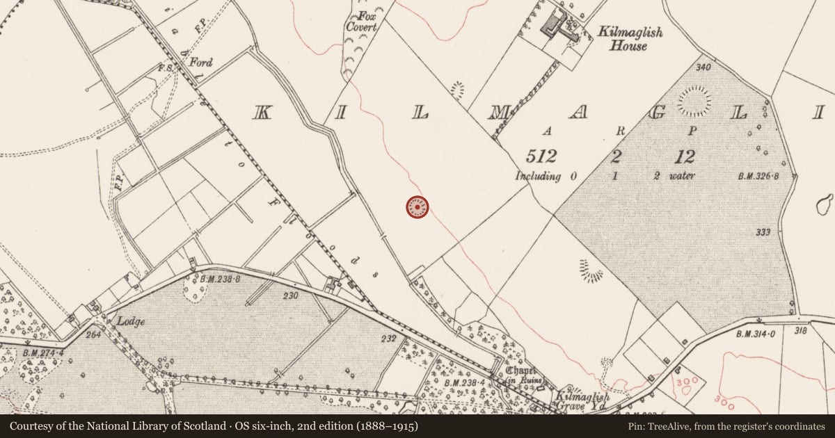 Ordnance Survey six-inch map, 2nd edition (1888–1915) covering the location of Ringfort - unclassified, Kilmaglish, County Westmeath, with a pin at the register's coordinates