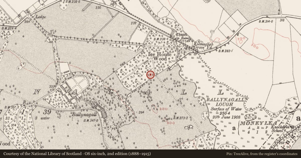 Ordnance Survey six-inch map, 2nd edition (1888–1915) covering the location of Structure, Ballynagall, County Westmeath, with a pin at the register's coordinates