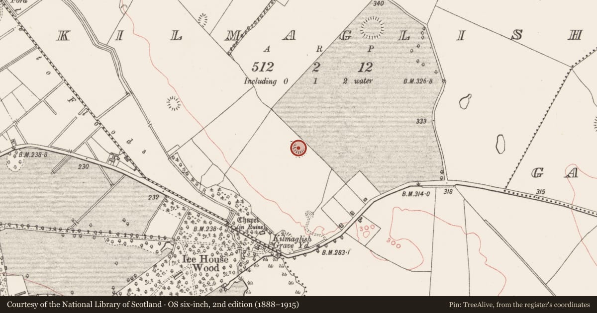 Ordnance Survey six-inch map, 2nd edition (1888–1915) covering the location of Ringfort - rath, Kilmaglish, County Westmeath, with a pin at the register's coordinates