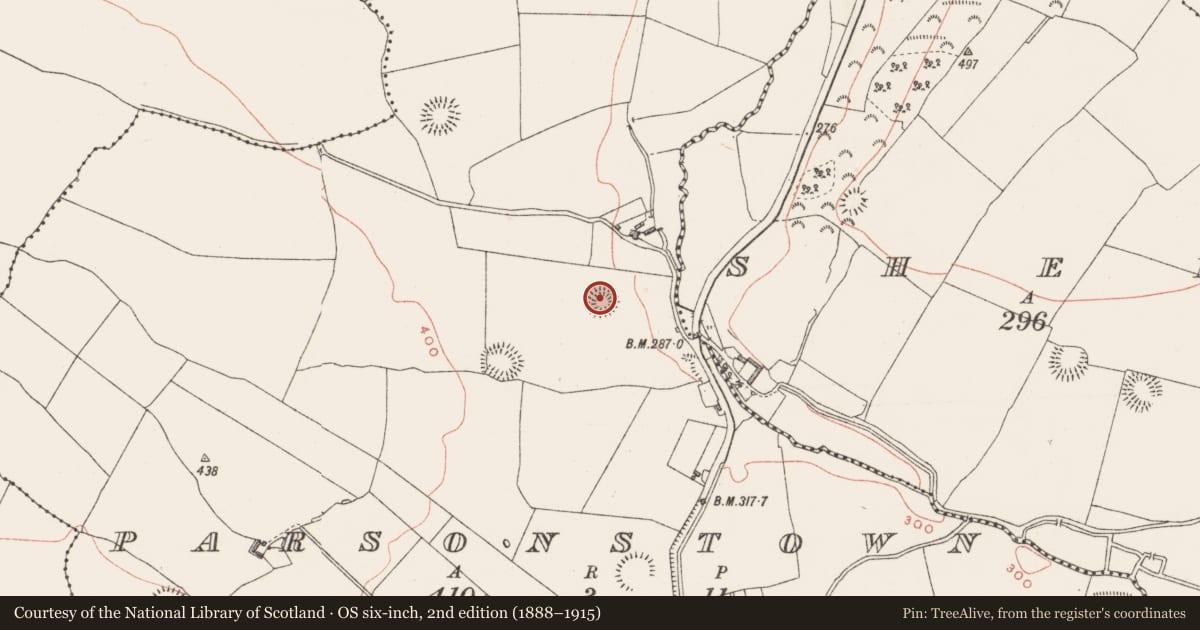 Ordnance Survey six-inch map, 2nd edition (1888–1915) covering the location of Ringfort - rath, Parsonstown, County Westmeath, with a pin at the register's coordinates