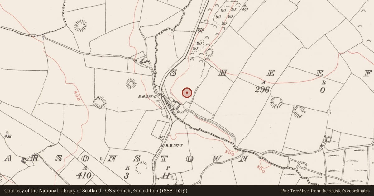Ordnance Survey six-inch map, 2nd edition (1888–1915) covering the location of Ringfort - unclassified, Sheefin, County Westmeath, with a pin at the register's coordinates