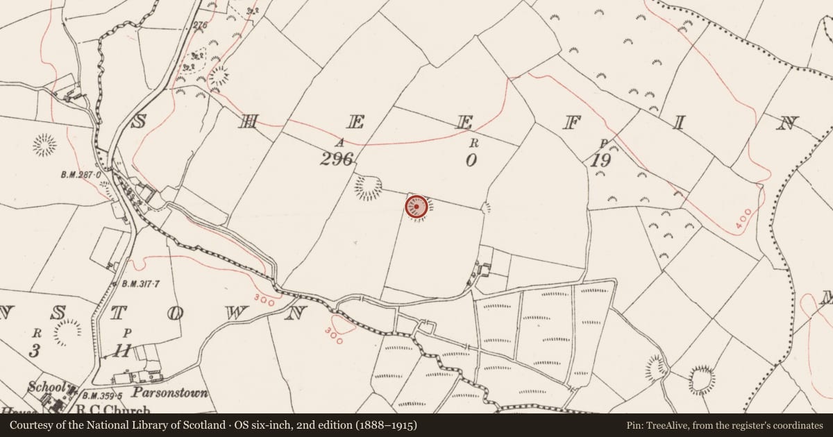 Ordnance Survey six-inch map, 2nd edition (1888–1915) covering the location of Ringfort - rath, Sheefin, County Westmeath, with a pin at the register's coordinates