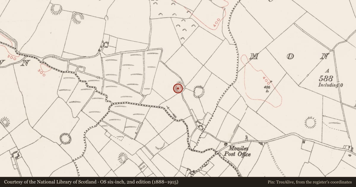 Ordnance Survey six-inch map, 2nd edition (1888–1915) covering the location of Ringfort - rath, Sheefin, County Westmeath, with a pin at the register's coordinates