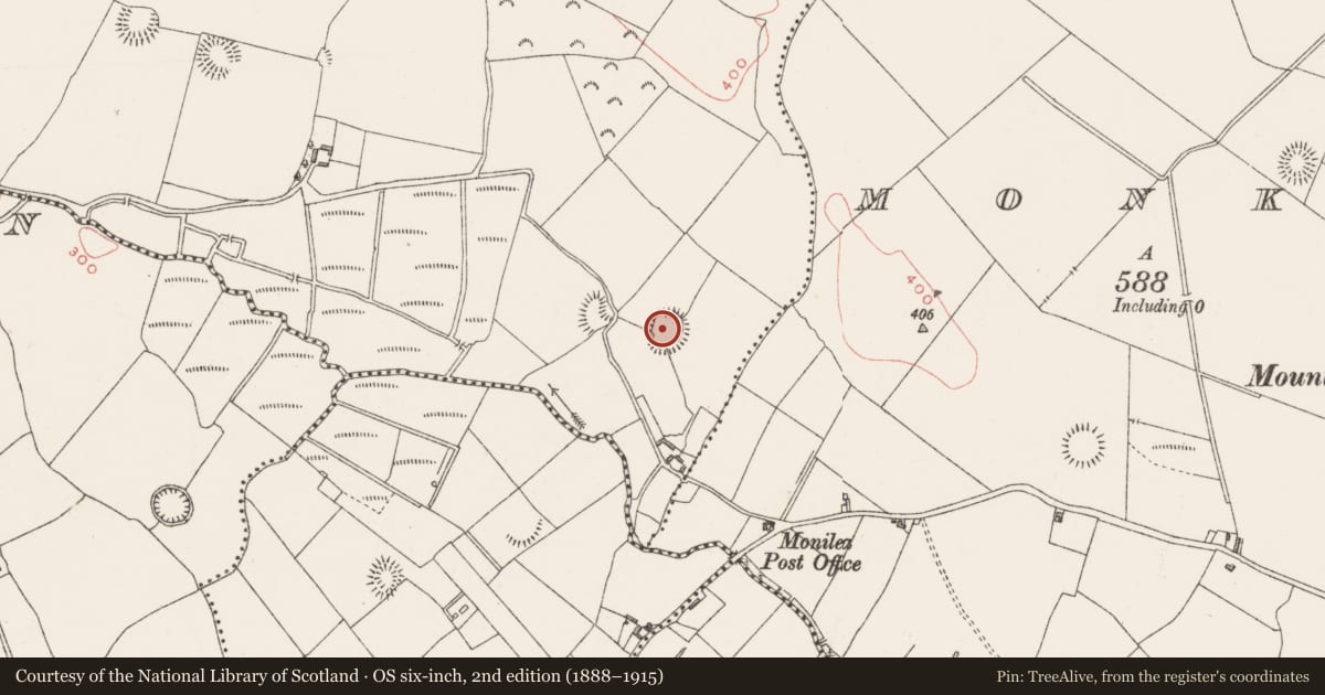 Ordnance Survey six-inch map, 2nd edition (1888–1915) covering the location of Ringfort - rath, Sheefin, County Westmeath, with a pin at the register's coordinates